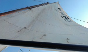 The sail