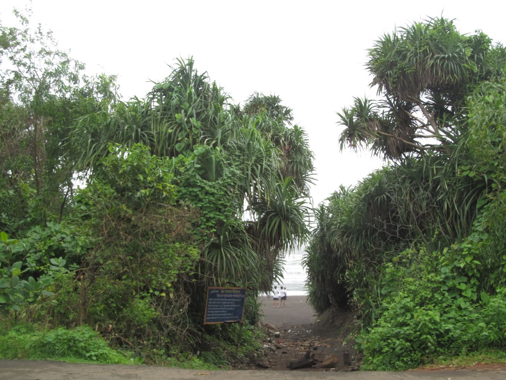 Entry through belu trees