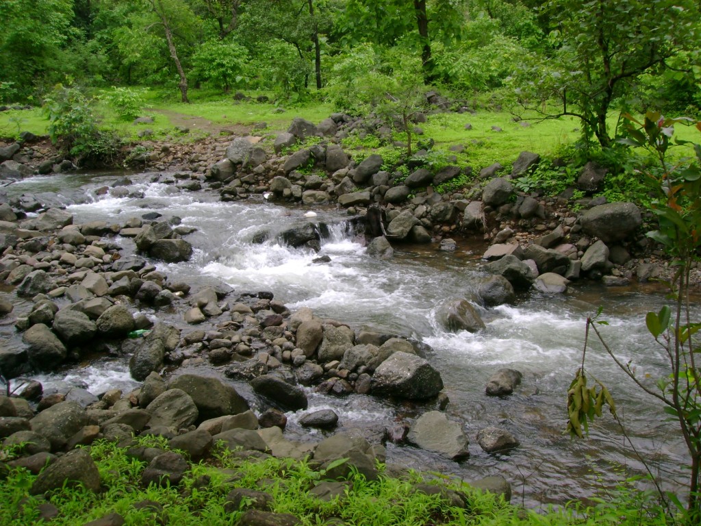 Fresh water stream alongside trek