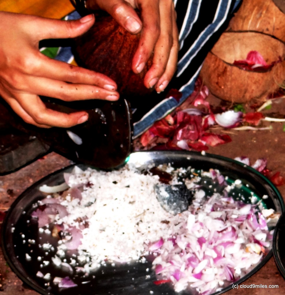 Chopped Onion and grated coconut