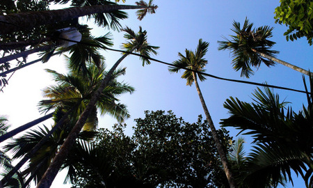 Guhagar – A perfect tropical paradise