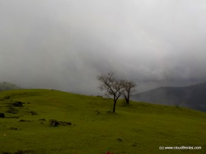 trek1 (23)
