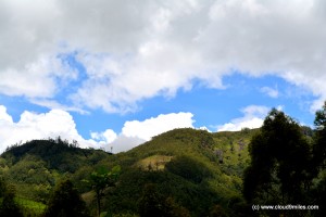 Munnar (102)