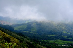 Munnar (50)