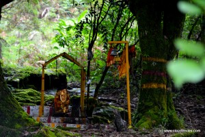Munnar (55)