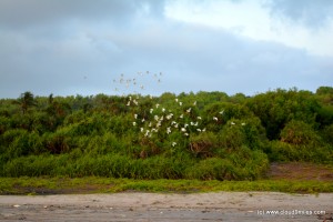 Malgund Beach (10)