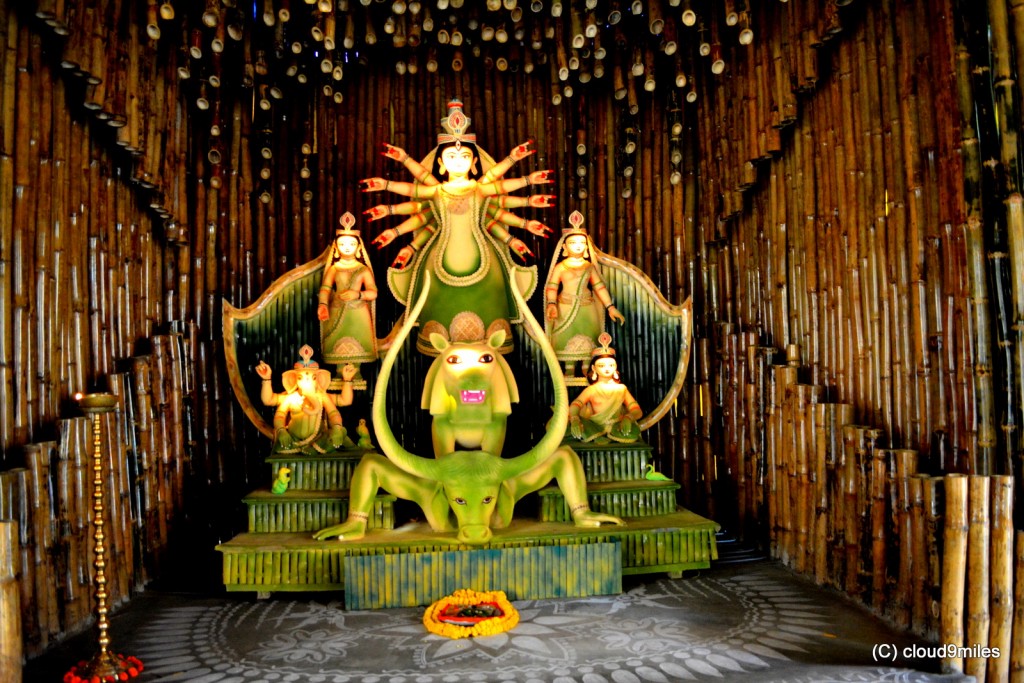 Durga Puja- Kolkata (121)