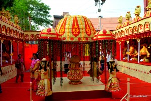 Durga Puja- Kolkata (127)