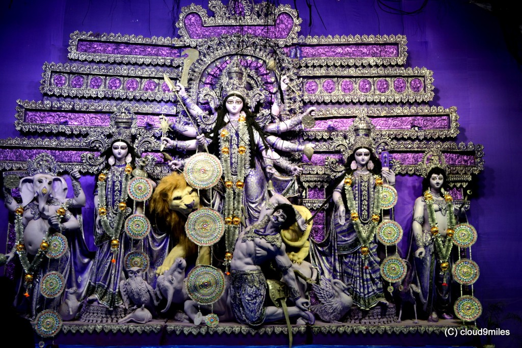 Durga Puja- Kolkata (131)