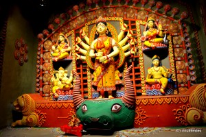 Durga Puja- Kolkata (93)