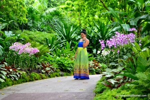 global desi maxi dress (11)