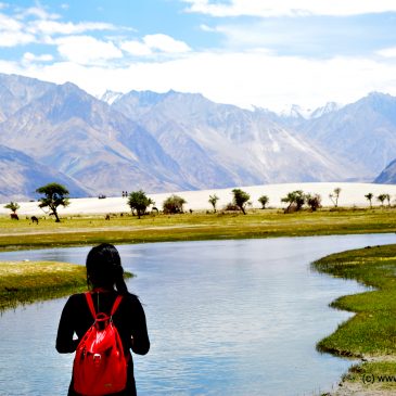 Life Lessons Learnt from Ladakh Road Trip