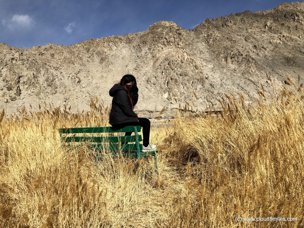Ladakh in winters (46)